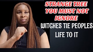 Look Out For This Strange Tree Some Life Are Tied To It