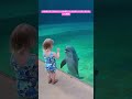 水族館のガラス越しに少女が遊ぶこと大好きなイルカと目が合った瞬間 #水族館 #癒し