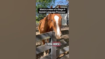 Hear a Gestalt Language Processor in Stage 4. #gestaltlanguageprocessing #echolalia
