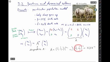 Approx&Stab - 5. Spectra and their approximation (C5-03): spectra and dynamical systems I