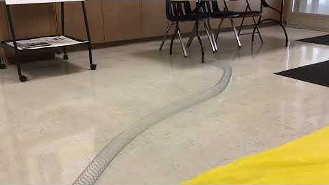 Exercise 2: slinky standing waves from Lab 13: Waves on a String, Georgian Court University