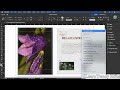 Using Object Styles in Adobe InDesign 2024 | Design &amp; Formatting Tutorial