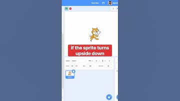 DO THIS🔥 if your sprite turns upside down