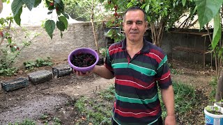 Bahçemi̇ze Neler Ekti̇k‼️