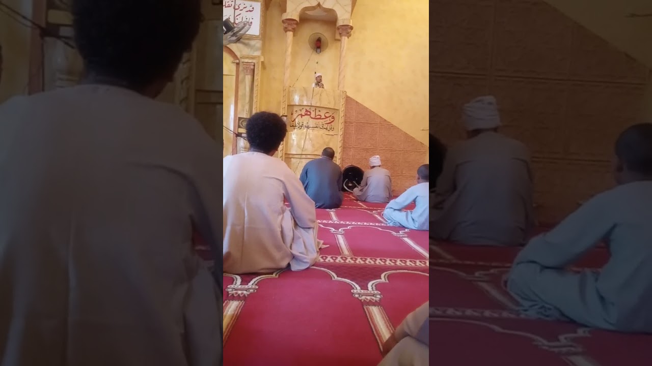 الشيخ محمد احمد محمد ابو الحسن