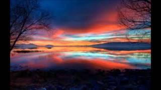 Sola Skinn Døgnville Roser