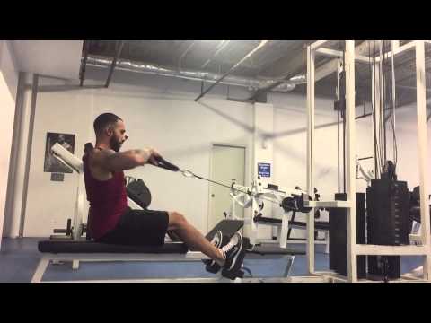 Face Pulls (seated cable row)