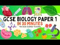 All of GCSE BIOLOGY Paper 1 in 30 minutes | The GCSE Science Teacher