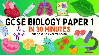 All of GCSE BIOLOGY Paper 1 in 30 minutes | The GCSE Science Teacher