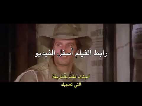 مايكل راندوم مترجم ترجمة حمامة 