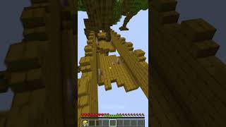 Temple Run But Its In Minecraft