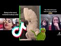 The Funniest TikTok Videos Compilation 2021 | Try Not to Laugh Challange (%99 FAIL)