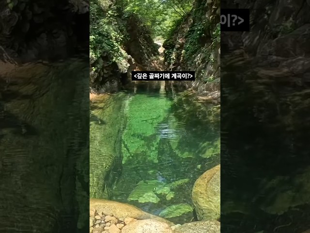 요즘 이슈 되고 있는, 미시령계곡
