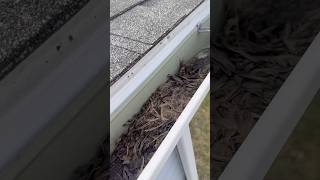 Clogged gutters = water damage waiting to happen.#guttercleaning