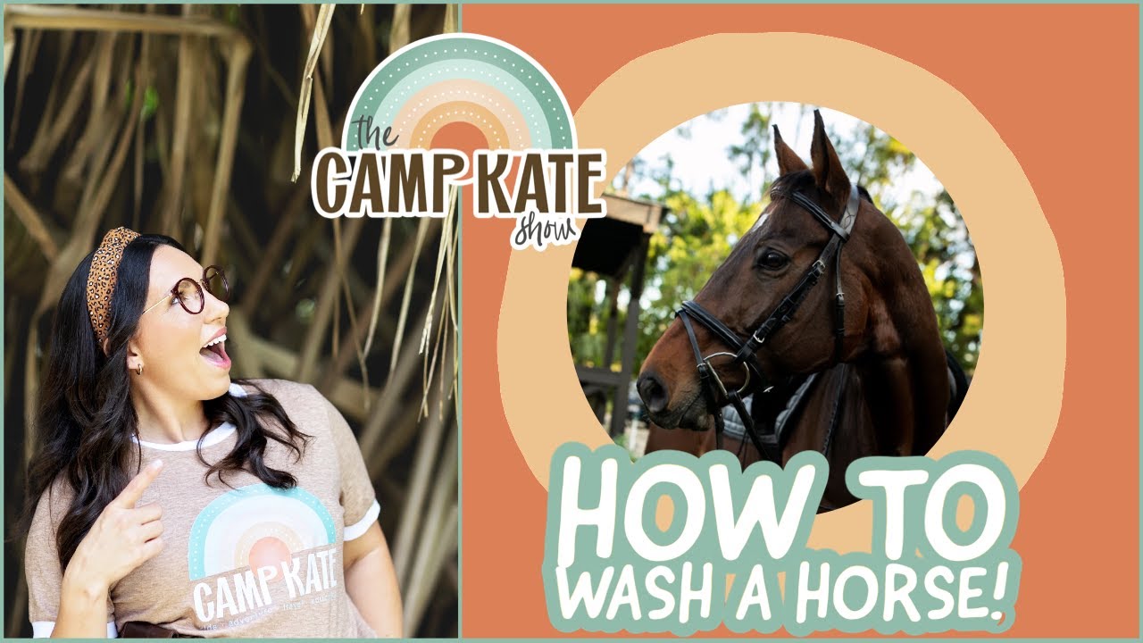 Camp Kate Visits the Barn. Chickens, Goats, & How to Wash a Horse!