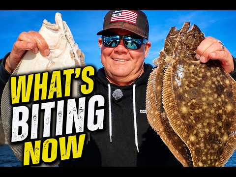 Ocean City Fishing Report: What’s Biting Now Ocean City Fishing Report: What’s Biting Now