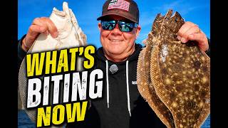 👉 Ocean City Fishing Report: What’s Biting Now (Flounder, Stripers, Tog & Surf)- Ocean City, MD 🎣