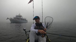 Catching Fluke and Porgies in the Sound then mugged by a party boat in the fog