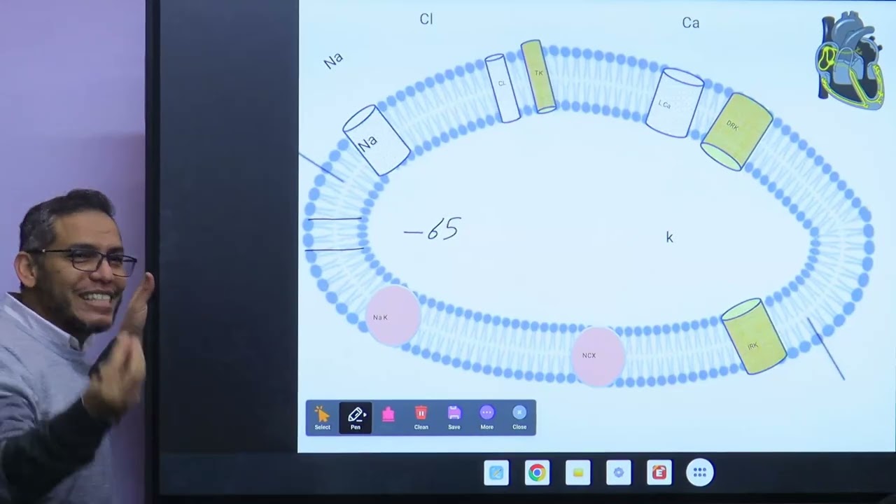 lec 3 Physiology 104 Dr. Mohamed Maher