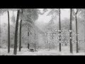 Adamo - Tombe la neige (아다모- 눈이 내리네)가사 번역, 한글자막