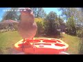 Bird 🐦 Video morning today 