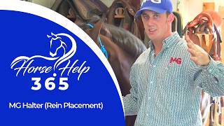 MG Halter (Rein Placement) | Horse Help - Michael Gascon