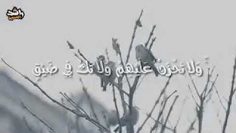 تلاوه خاشعه . واصبر وما صبرك إلا بالله 🌹🌹🌹