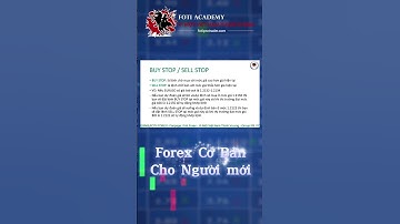 Các loại lệnh trong giao dịch Forex - Phần 2 #shorts