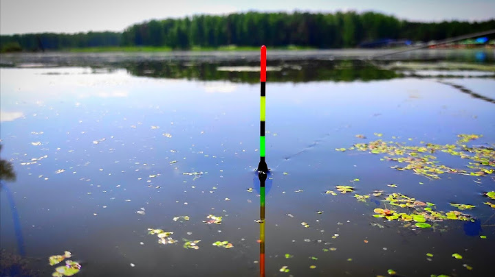 REVEALED THE SECRETS OF FISHING! I fed the HORROR in July and here's what HAPPENED! Fishing 2025