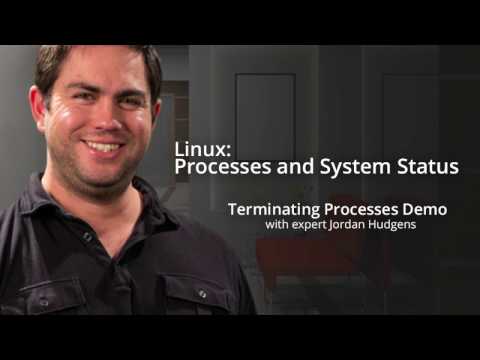 Linux, Part 2: Terminating Processes - CourseSnips