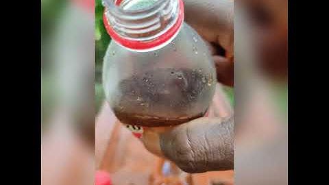 Coca cola VS mentos experiment #shorts #viralvideo #m4tech #experiment #youtubeshorts