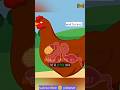 Why Chicken Eggs Are Weird (Scientific Explanations)✍facts#new #trending#dastan#latest #youtubeshort