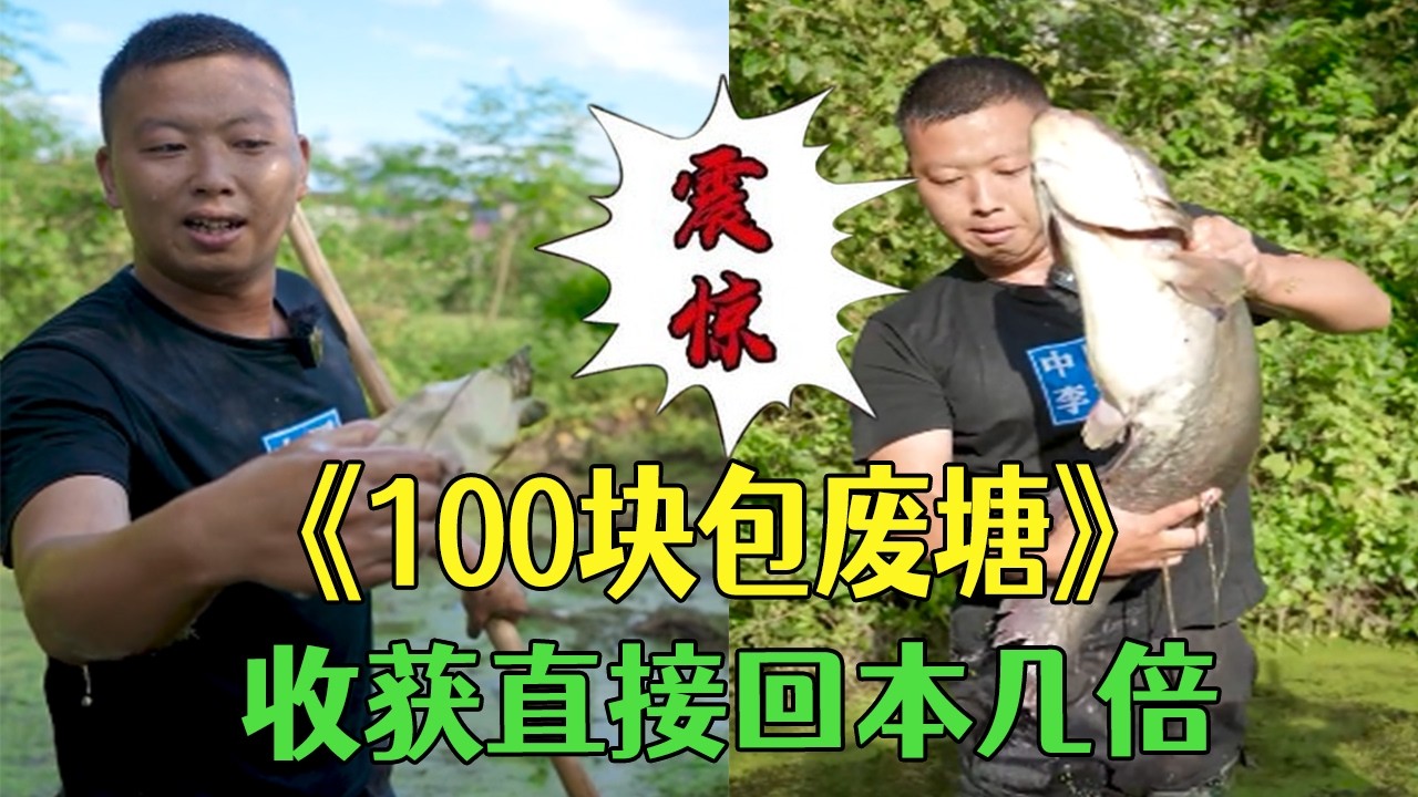 花100塊包壹個廢棄魚塘，收獲直接回本幾倍#小飛哥 #三農 #新農人計劃 #護外  #抓魚  #我要上熱門