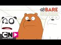 Вся правда о медведях | Соперники науки | Cartoon Network
