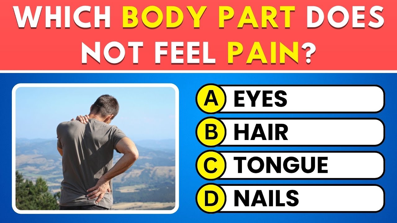 Can You Pass This 30-Question Human Body Quiz? 🧠 Take This Ultimate ...
