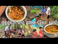        l gouranga nayak odia vlogs