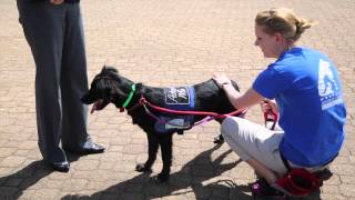 Human Walk at Scope in Norfolk, Va.