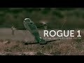 Introducing rogue 1 lethal unmanned aerial system precision speed and versatility