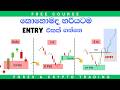 How to Get the Perfect Forex Entry | Forex trading For Beginners | Time Frame Alignment | ( Sinhala)
