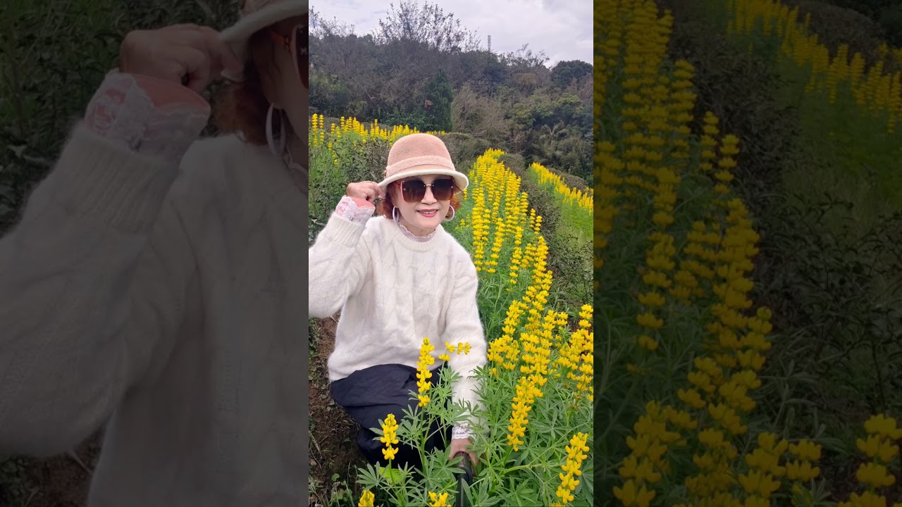 1150227大坑北鲁冰花