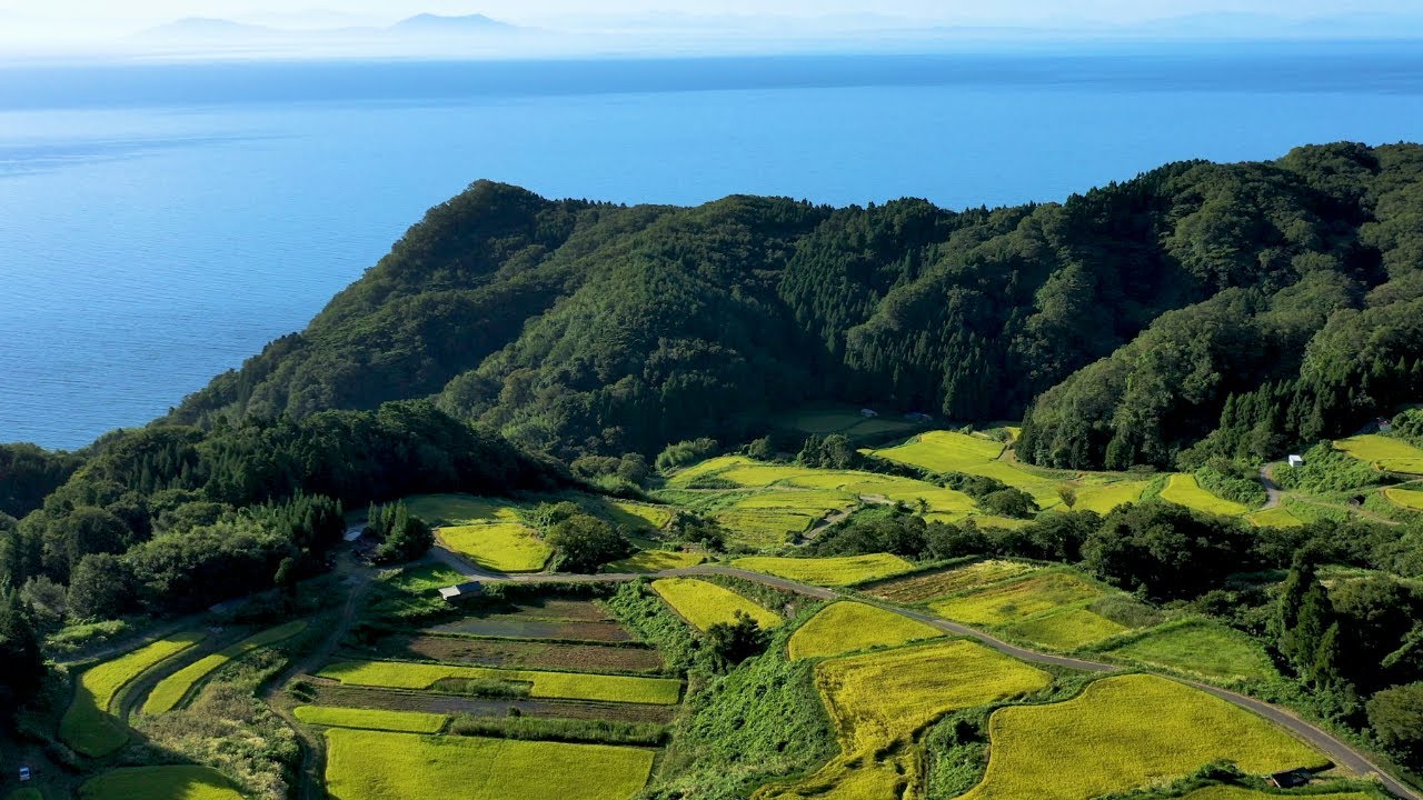 棚田カード 岩首昇竜棚田 小倉千枚田 月布施棚田(新潟県) 岩首（