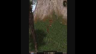 Metin 2 MultiHack