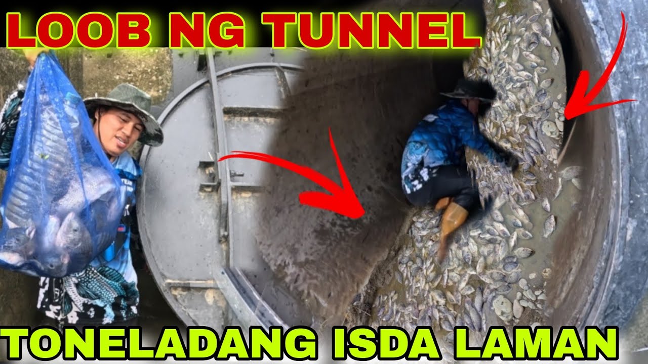 LAKAS LOOB KONG PINASOK ANG TUNNEL , PAGBUKAS NAMANGHA LIBONG ISDA KUMUKUHA NG OXYGEN