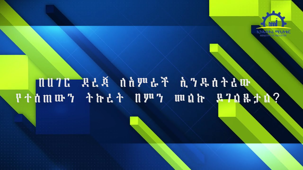 ከካይዘን ልህቀት ማዕከል የአምራች ኢንዱስትሪ ዘርፍ መሪ ስራ አስፈፃሚ  ጋር የተደረገ ቆይታ