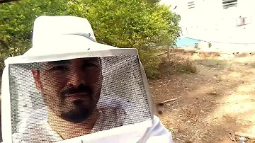 Como vestir roupa de apicultor?