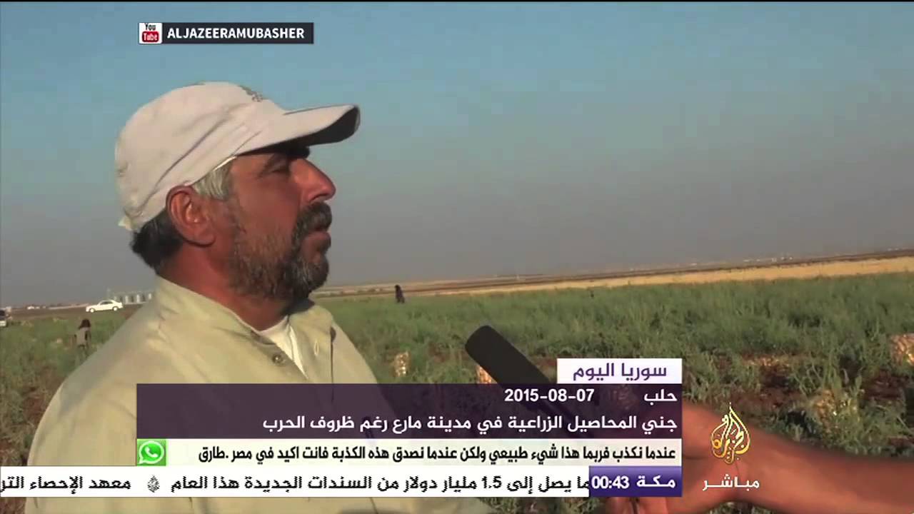 رغم ظروف الحرب.. المزارعون يجنون المحاصيل في مدينة مارع السورية