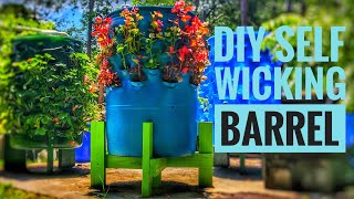 DIY 16 gallon Self Watering Planter with Level Guage. Great for Square Foot Gardening!