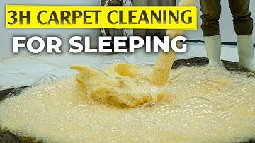 3 Hours of Satisfying Carpet Cleaning for Deep Sleep - ASMR Cleaning - For Deep Sleep