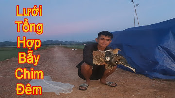 Lưới Bẫy Trích Ré. Lưới Bẫy Chim Đêm. Lưới Bẫy Cuốc. Lưới Bẫy Gà Đồng - Lưới Bẫy Chim Tây Nguyên.