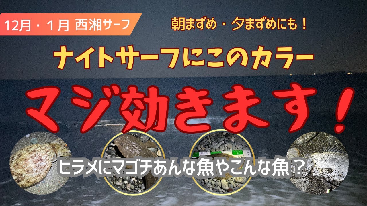 ナイトサーフにこのカラー　マジ効きます！